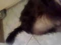 Dogbook Movie: Me Singing! Dogbook Movie: Me Singing!