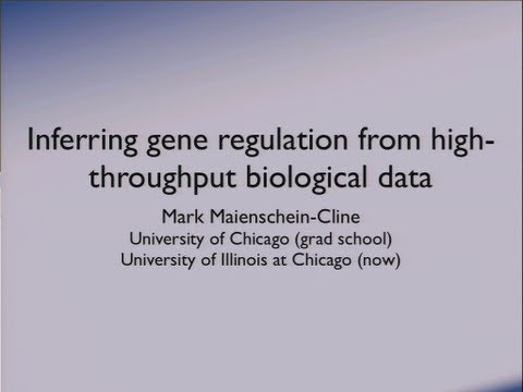 DOE CSGF 2013: Inferring Gene Regulation From High-Throughput Biological Data