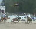 charrO tObii charrO tObii