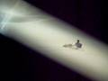 videos de Sand boarding
