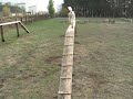 бум апорт4