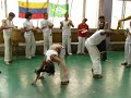 SENZALA DE FILANDIA VISITA A CARACAS