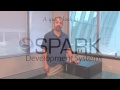 A quick look at Pentek's SPARK Development Systems