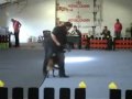 Zenna Doggydance Mika