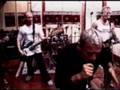 clip video Shelter Civilized Man