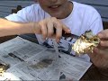 How to eat Blue Crabs the RIGHT WAY!!! How to eat Blue Crabs the RIGHT WAY!!!