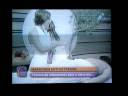 Programa Cotidiano - 28/11/08