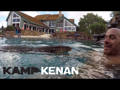 YouTube reptile video
