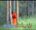 Paron na malomedey - Ashraf Gulzar
