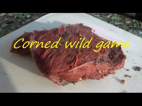 how to cure deer meat