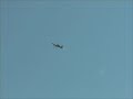 Maiden Flight of the Typhoon 3D Rc Radio Control Airplane Plane - Chris and Chuck