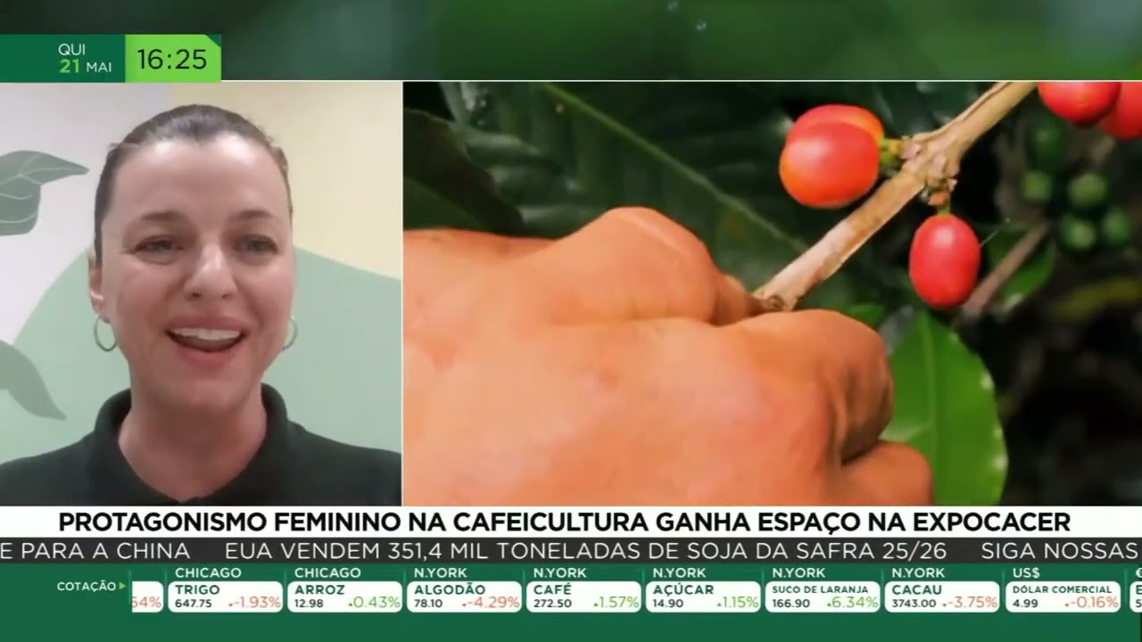 Protagonismo feminino na cafeicultura