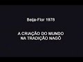 Beija Flor 77 e 78