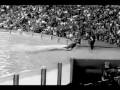videos de You and Me - Orcas and Trainers