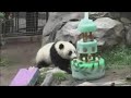 Zhen-Zhen-and-Su-Lin