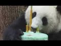 Zhen-Zhen-and-Su-Lin