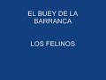 el buey de la barranca   los felinos