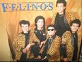 el buey de la barranca   los felinos