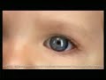 TPS HD Advert