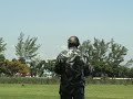 Trex 600 Airwolf