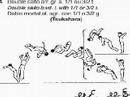 Code of Points. Floor (men). Groop D