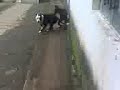 TUKA E SHYVA 1 TUKA E SHYVA 1