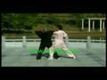 Li DeYin Tai Chi Push Hands KF582 coohk