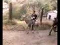 montando en burro