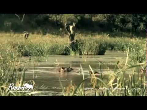 Pumba Game Reserve