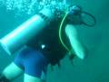 diver