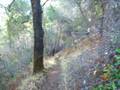videos de 111908 037.mov