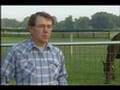 The Great Seattle Slew