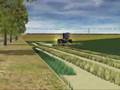 Mowing...