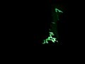 Daft Punk @ BUE 13-Face to face (Harder mix) + Short circuit