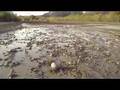 More Awesome Flash Flood Footage from David Rankin