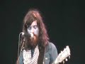 Devendra Banhart / Vetiver at the Electric Picnic (4)