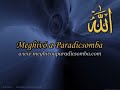mi az élet értelme?   meghívó a paradicsomba