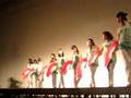 Silk Flowers Fan Dance