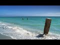 4 of 5 ≈ www.wavesdvd.com ≈ Relax Now. Visit our Channel. 8-) RELAX. TRAVEL to FLORIDA BEACHES #4 + ocean sounds Casey Key, Sarasota + Sanibel-Captiva Island, Fort Myers, Gulf Coast • MUSIC SONG: NONE - ALL NATURAL 