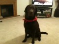 Hunter is hungry