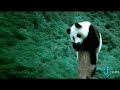 What to do in China