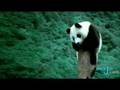What to do in China