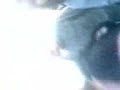 mo-bounce-from-mix-961-san-antonio-w-my-chemical-romance.html