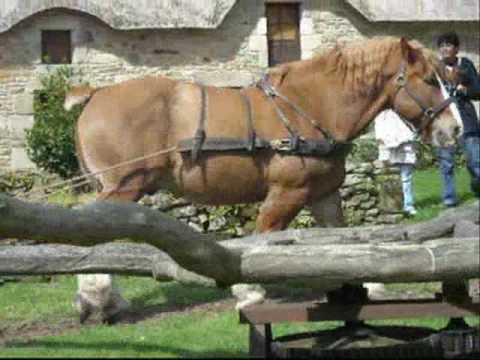 Image de prévisualisation YouTube