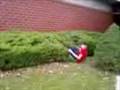videos de Roof 2 Bush