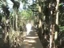 gs-wood-gathering-instruction-video.html