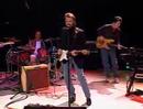Lee Roy Parnell - Milk Cow Blues