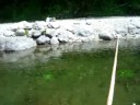 Fishing again in Japan
