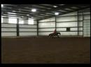 Wranglers Smart Gem