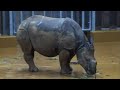 Whipsnade Zoo Whipsnade Zoo